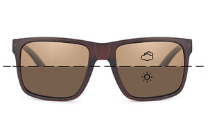 Fortis Bays Polaroid Sunglasses