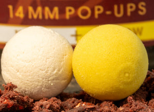 OMC Paella Boosted Fluoro Pop Ups