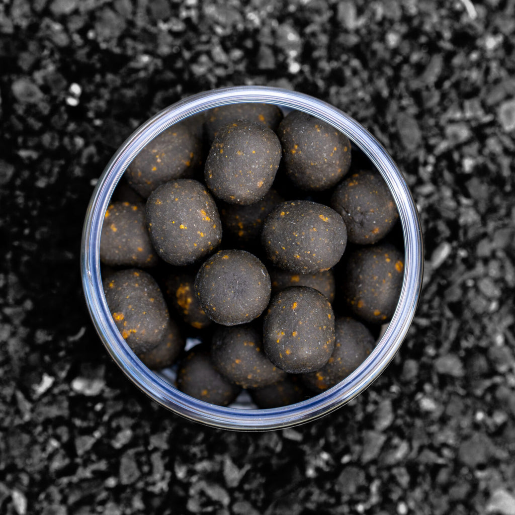 Elevate Baits Garlic Infusion Dumbell Hookbaits