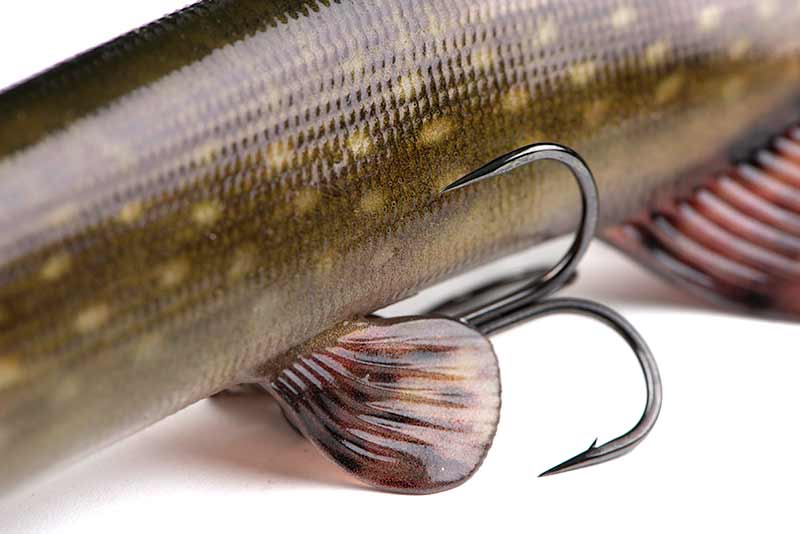 thumbnail interactive-video image 1 of FOX Rage Ultra-Realistic Naturals PIKE Replicant Lure – 3 Size Options Available 1 of 3